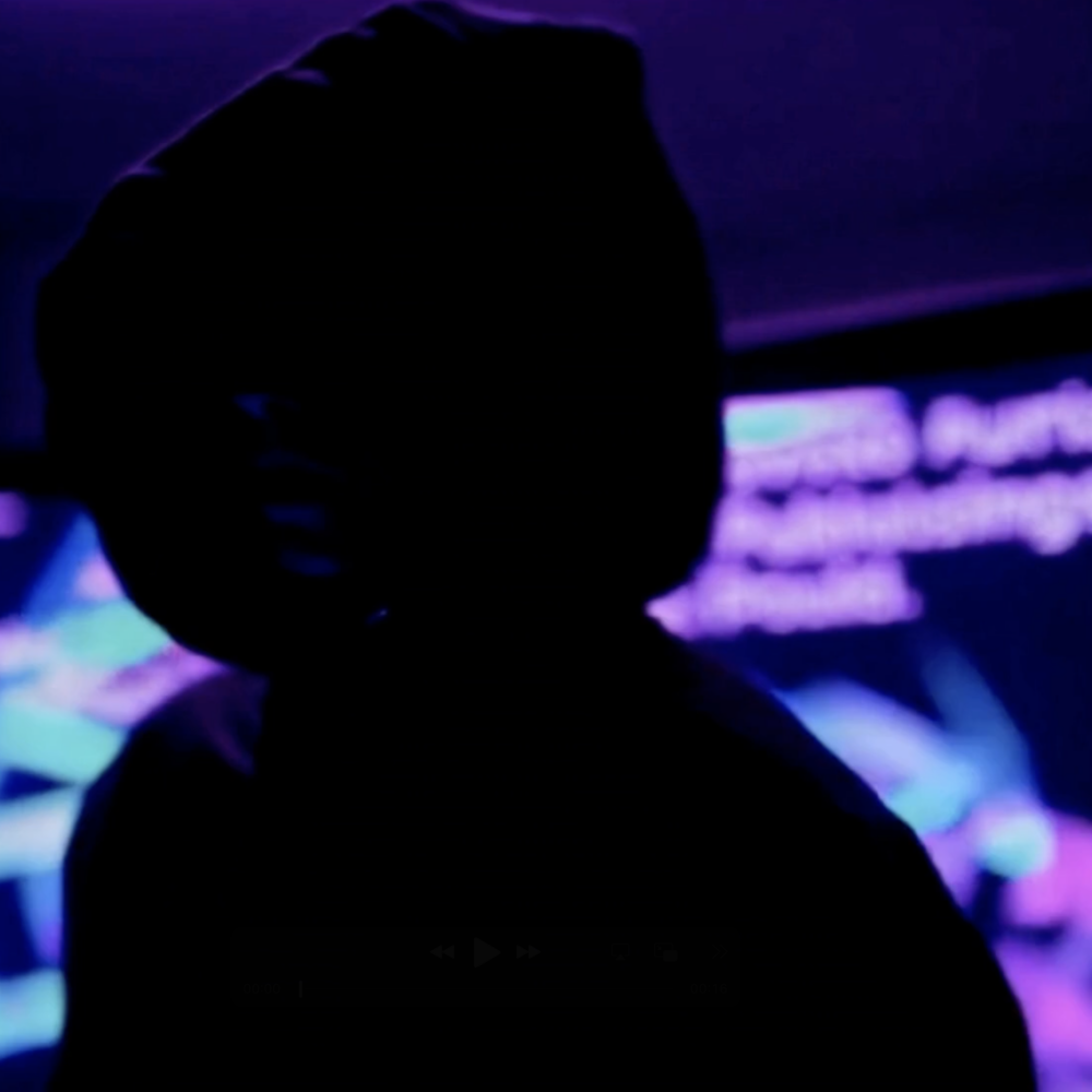 Video game publishers